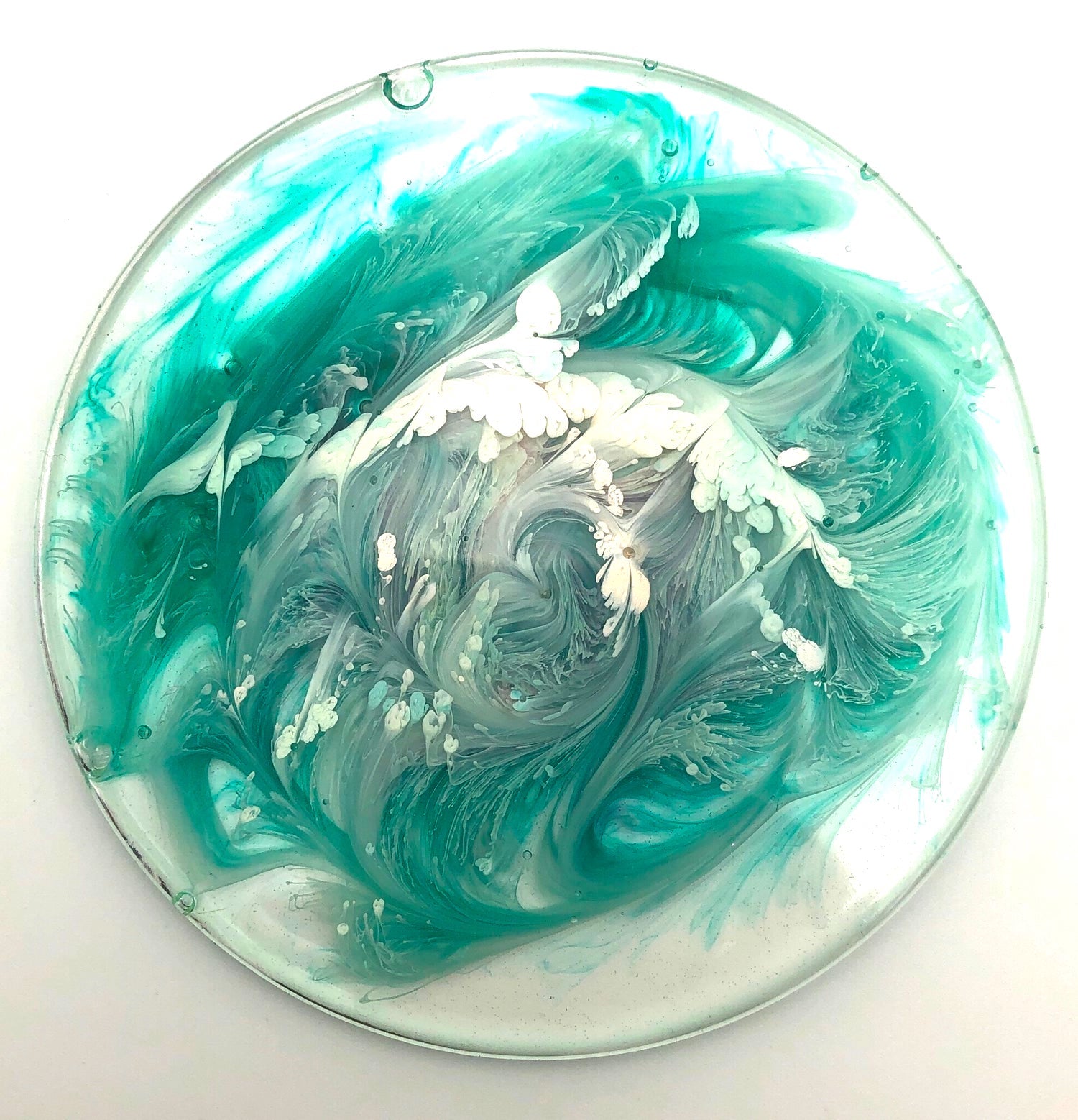 "Dolphins" Resin Coasters